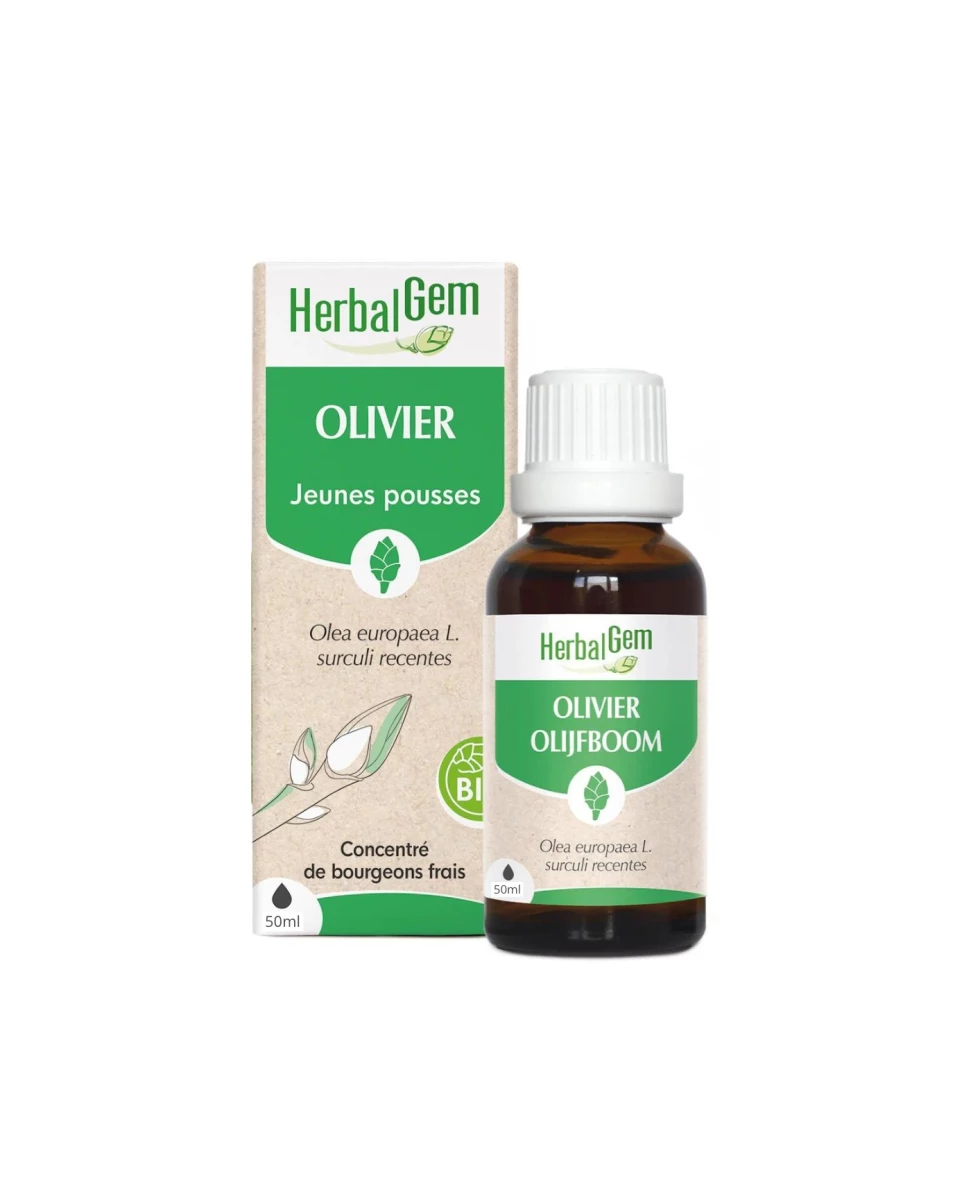 Olivier - 50ml - HerbalGem