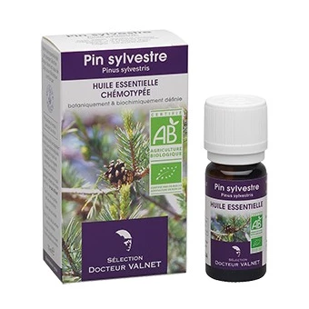 Pin Sylvestre, Huile Essentielle 10ml-Docteur Valnet