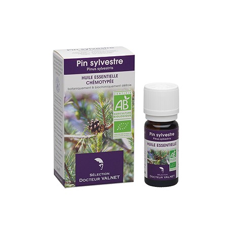 Pin Sylvestre, Huile Essentielle 10ml-Docteur Valnet