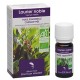 Laurier Noble, Huile Essentielle 10ml-Docteur Valnet