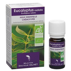 Eucalyptus radiata, Huile Essentielle 10ml-Docteur Valnet