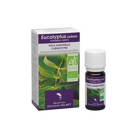 Eucalyptus radiata, Huile Essentielle 10ml-Docteur Valnet